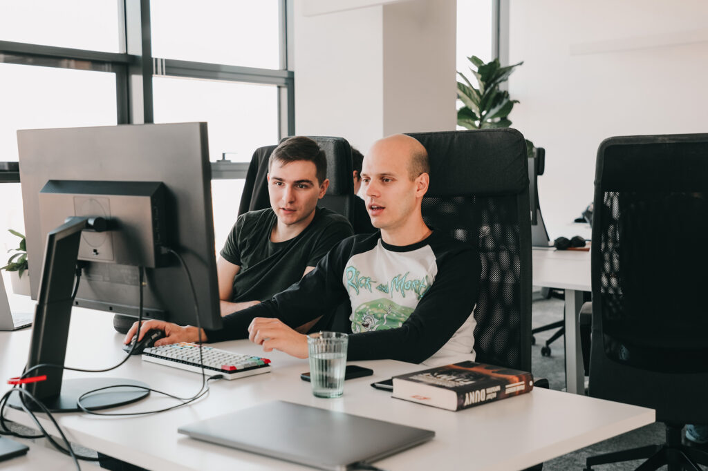 Two Software Engineers working together.